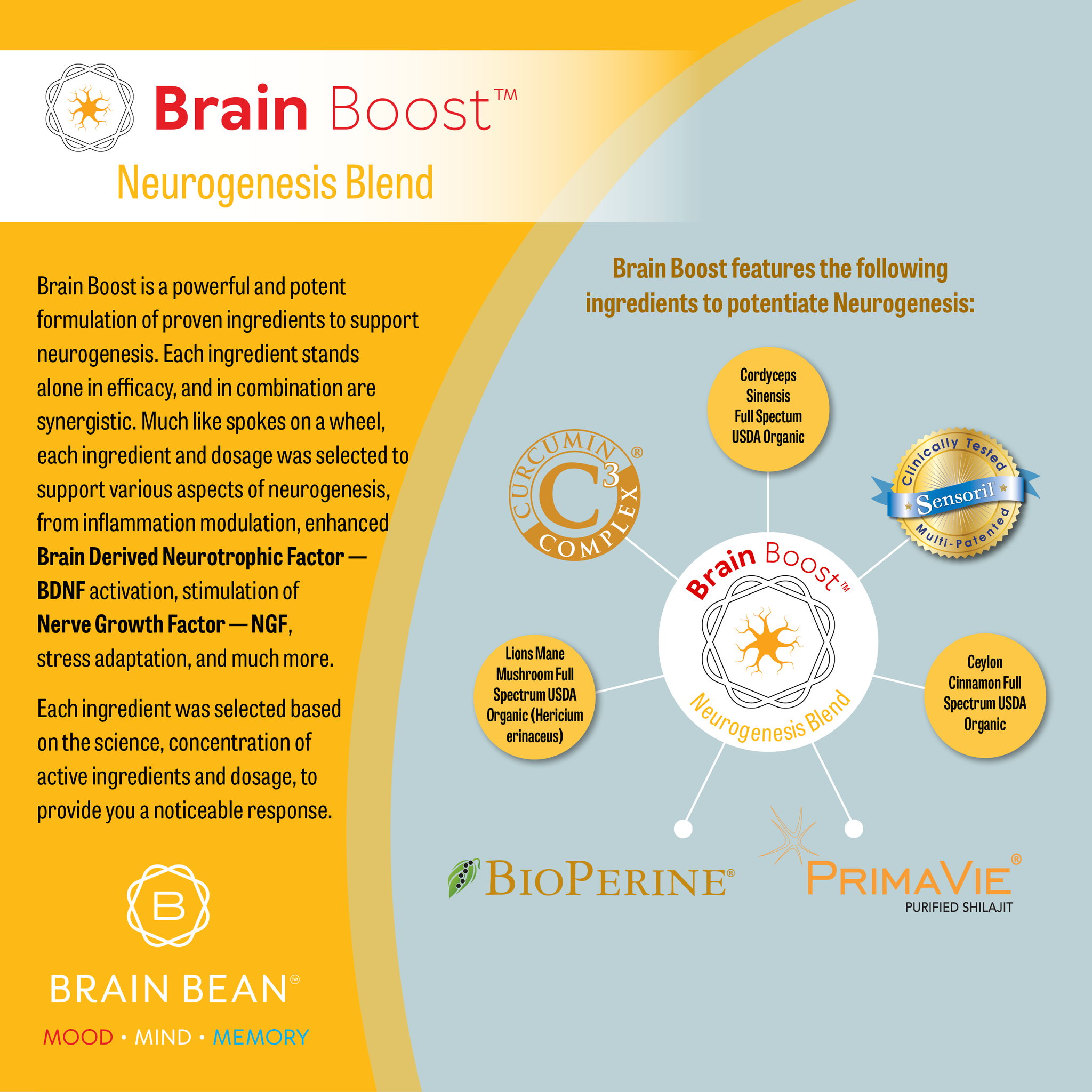 Brain Essential Boost Brain Boost™ - Neurogenesis Blend - Sensoril/Ashwaghanda, Lion's Mane ...