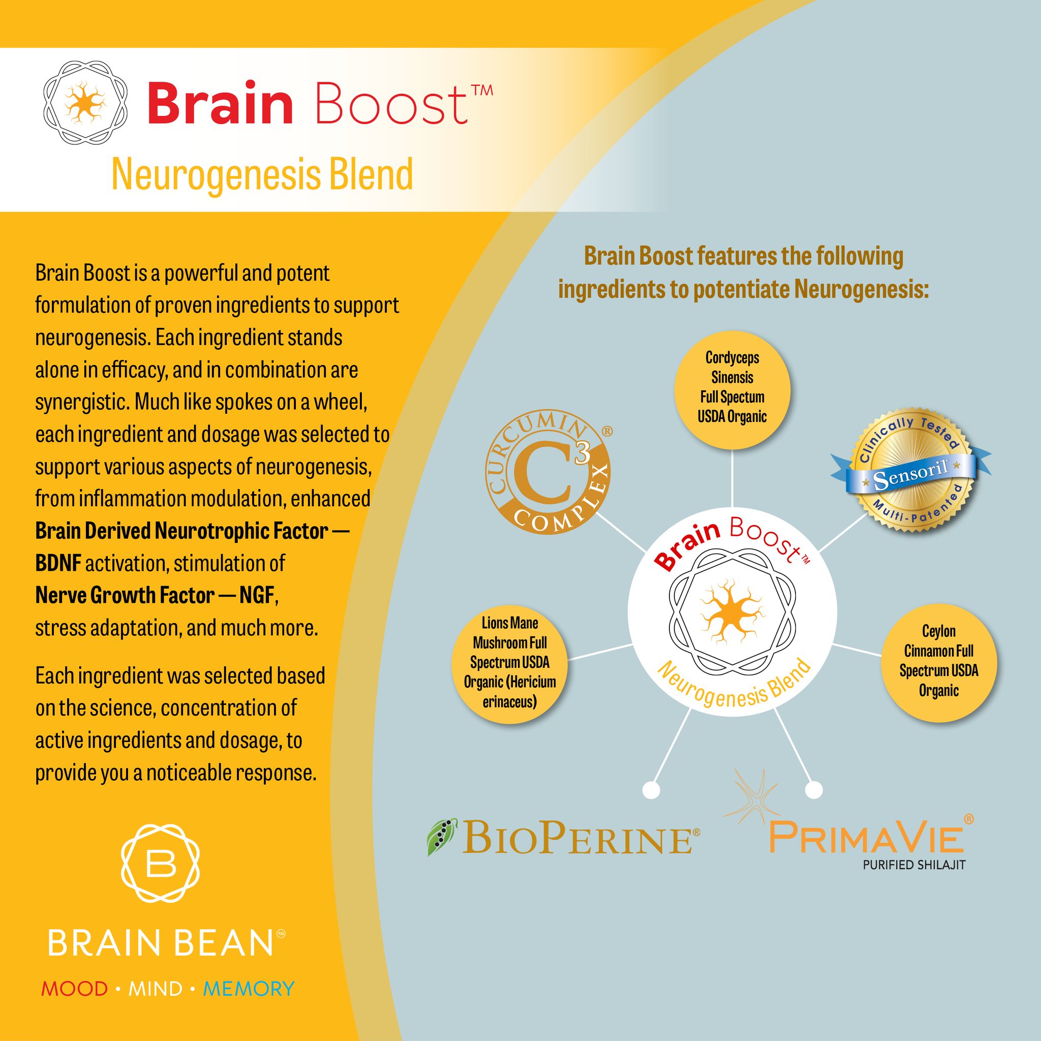 Brain Boost™ Caps