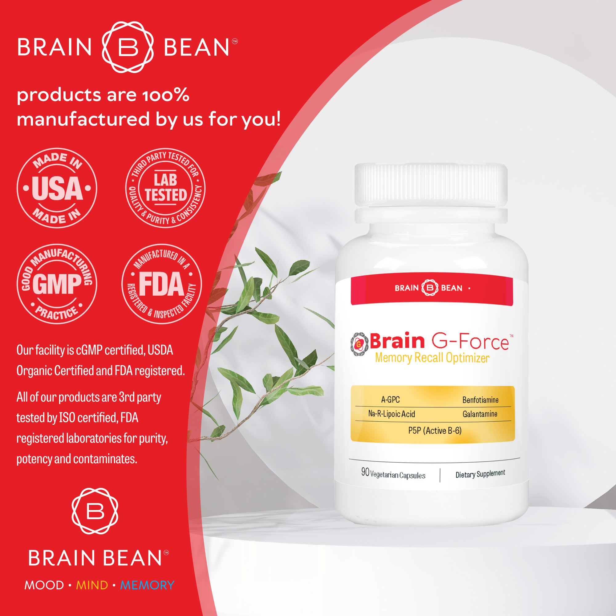 Brain Force Plus Brain G-Force™ - Memory Recall Optimizer - Galantamine, Active B-Compl ...