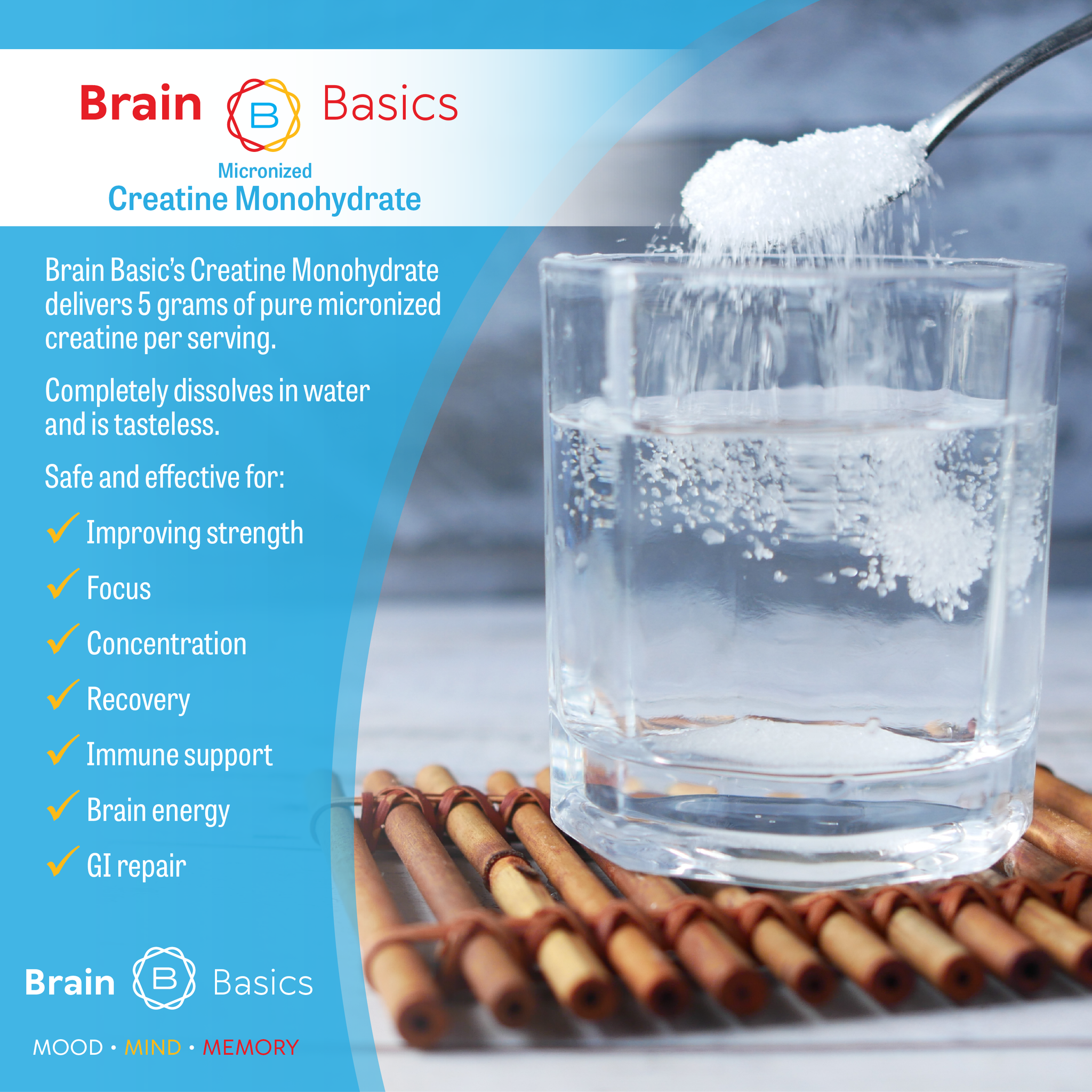 Brain Basics: Micronized Creatine Monohydrate