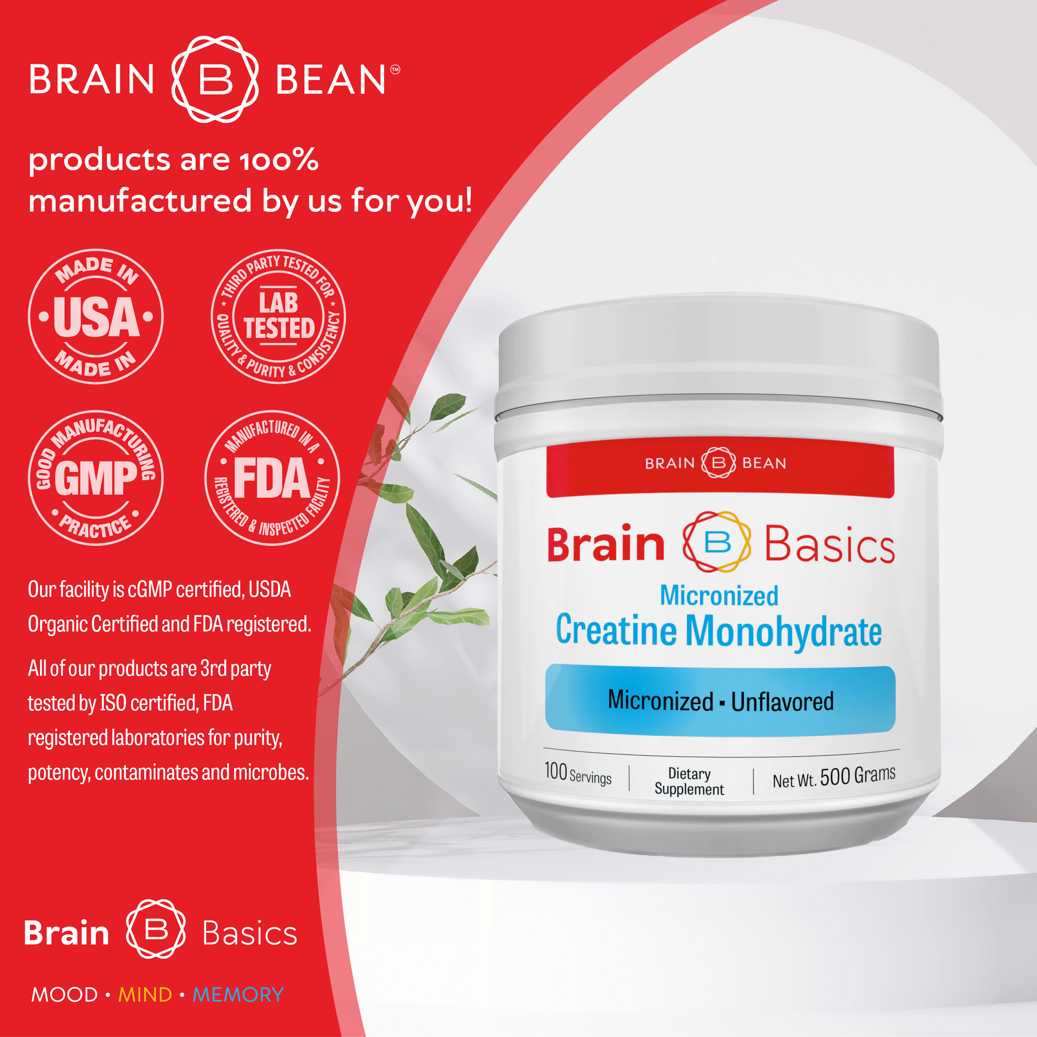 Brain Basics: Micronized Creatine Monohydrate