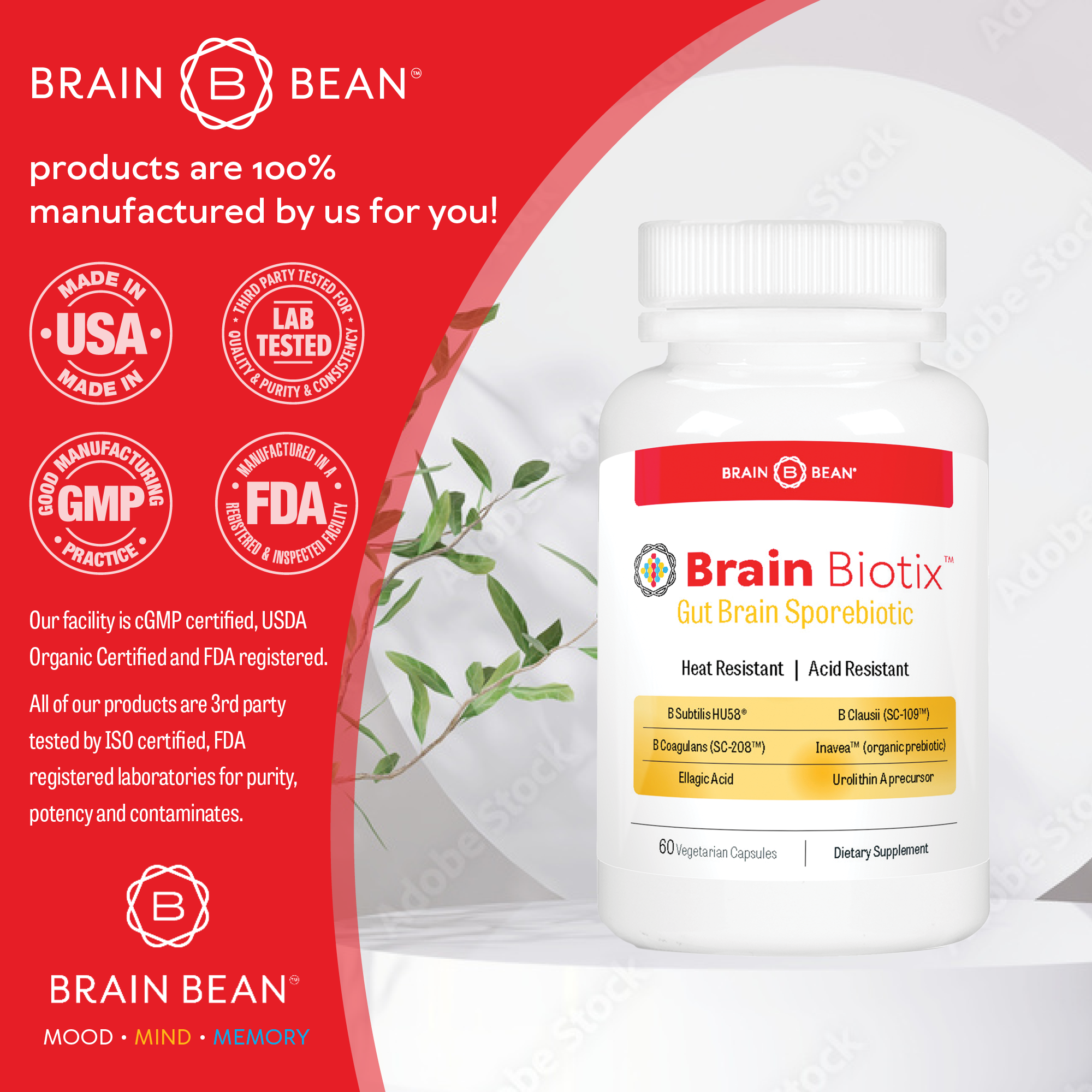 Brain Biotix™